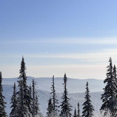 Photo #8616002