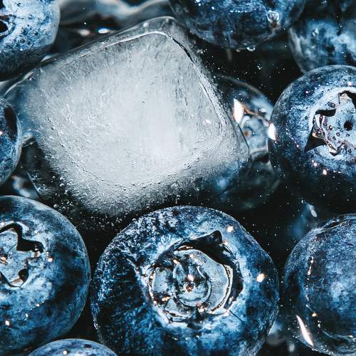 Photo #8616108