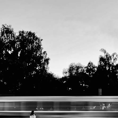 Photo #8616127