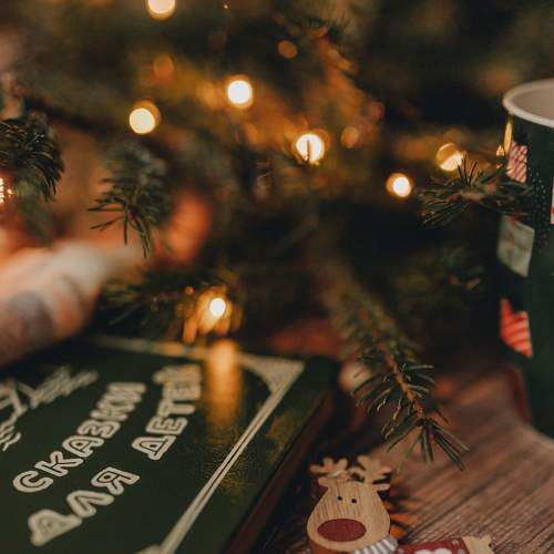 Photo #8616133
