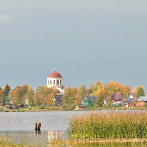 Photo #8616260