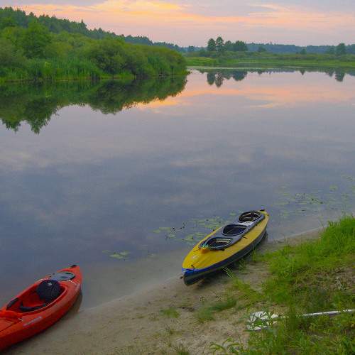 Photo #8616752