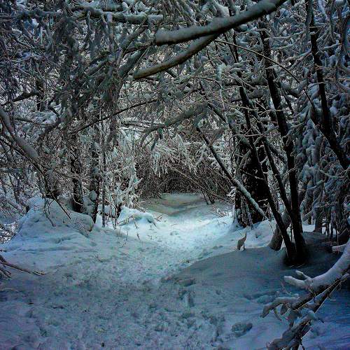 Photo #8617458