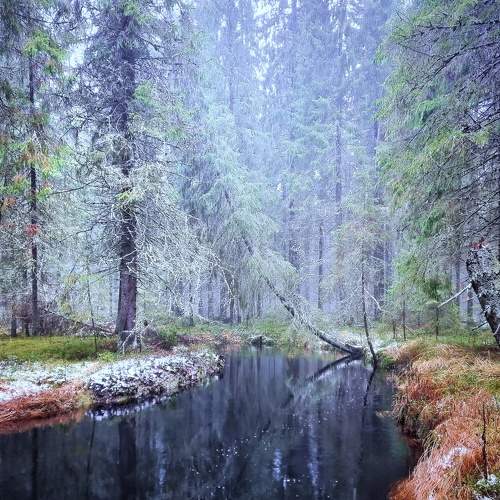Photo #8617805