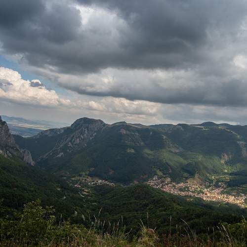 Photo #8617806