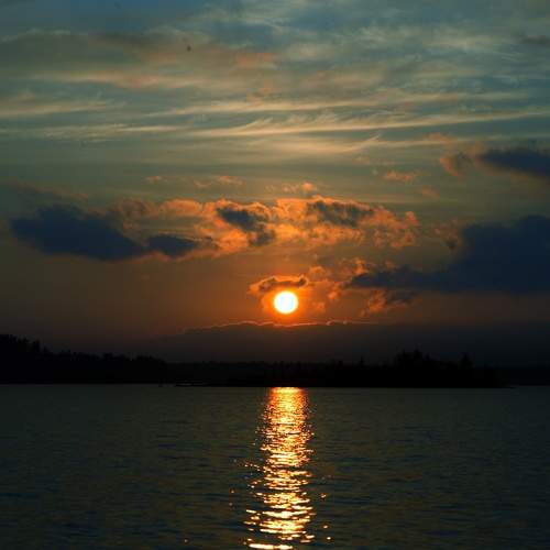 Photo #8617846