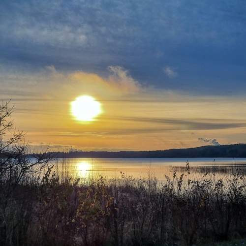 Photo #8617857