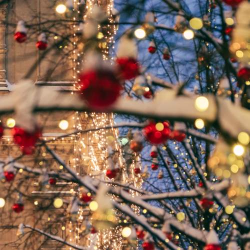 Photo #8617885
