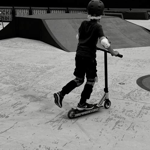 Photo #8618160