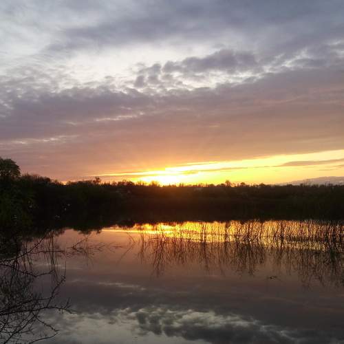 Photo #8618526