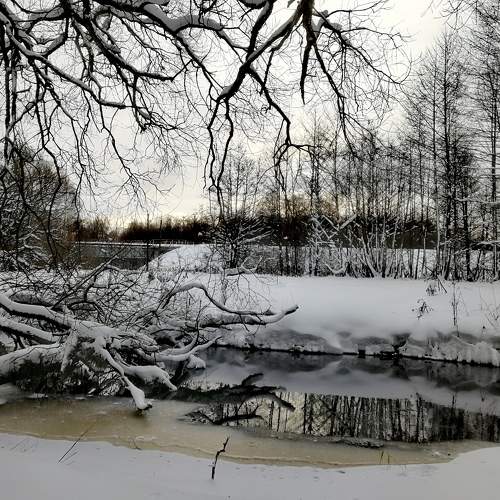 Photo #8618753