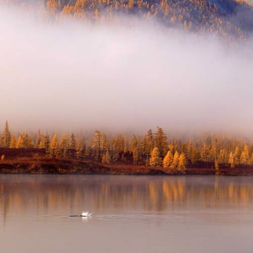 Photo #8618784