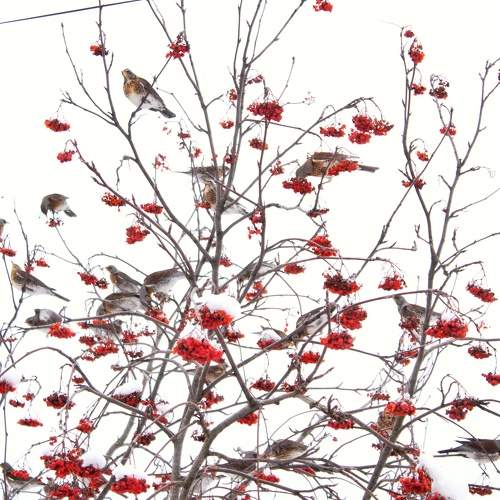 Photo #8618801