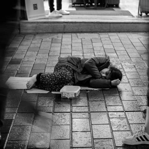 Photo #8619385