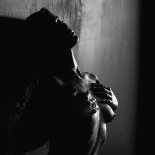 Photo #8620044