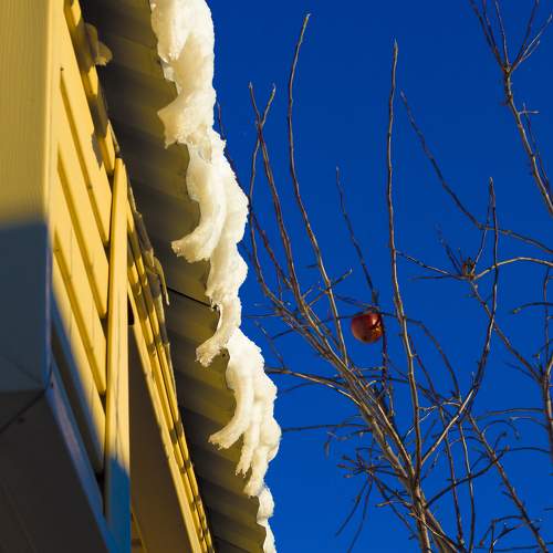 Photo #8620108