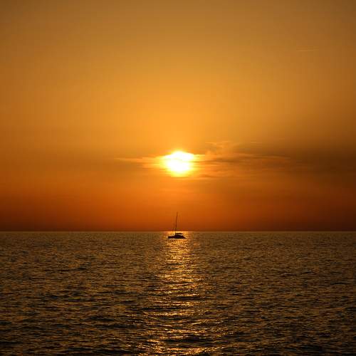 Photo #8620312