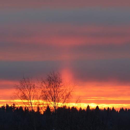 Photo #8620598
