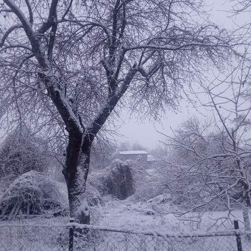 Photo #8621422