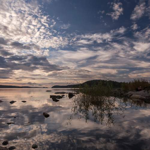 Photo #8621453