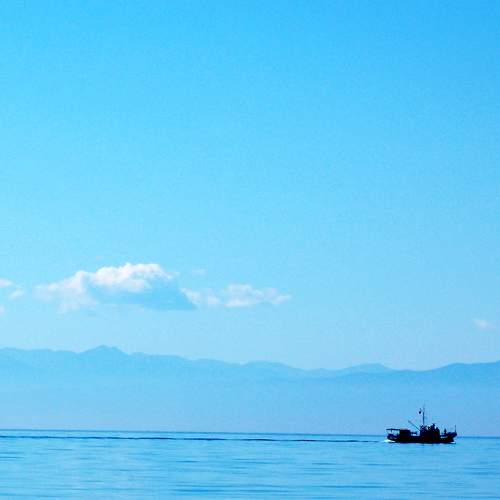 Photo #8621460