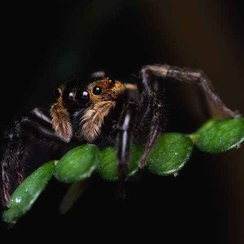 Photo #8622066