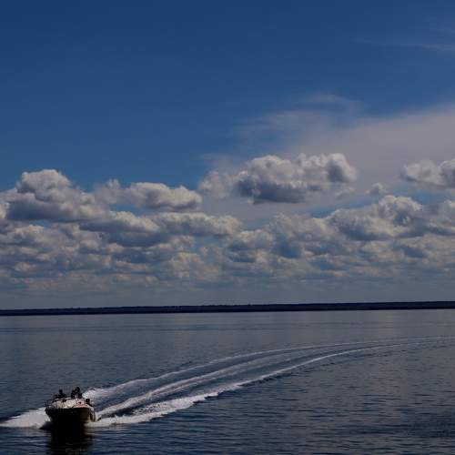 Photo #8622261