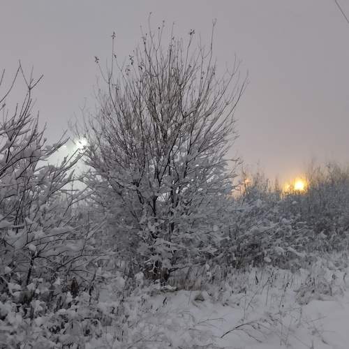 Photo #8622309