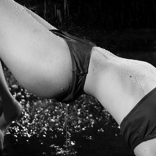 Photo #8622360