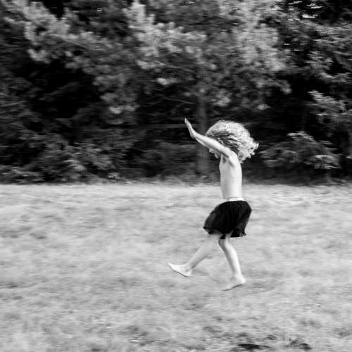 Photo #8622438