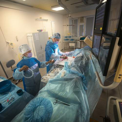 Фотография #8622955