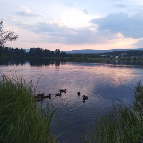 Photo #8623185