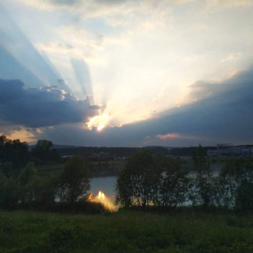 Photo #8623194