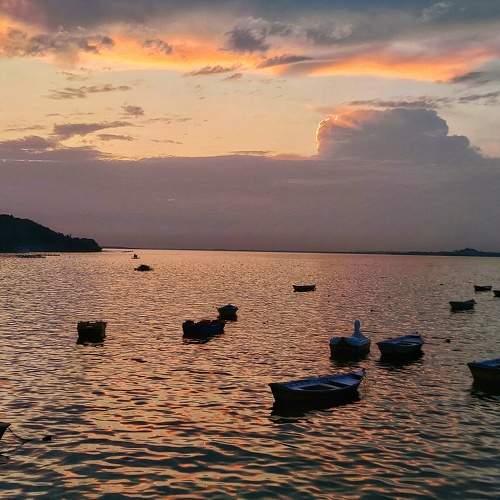 Photo #8623356