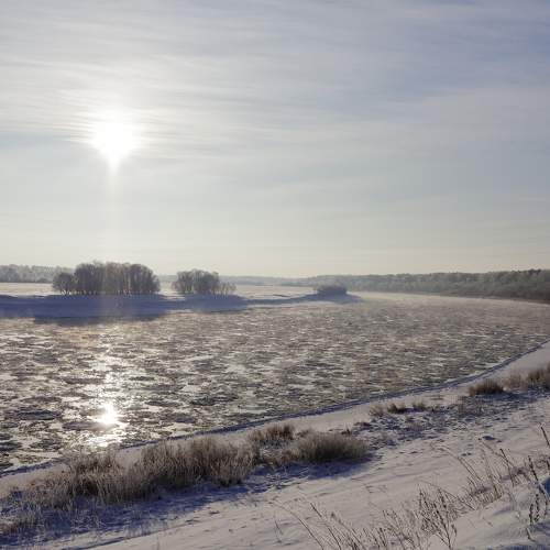 Photo #8623645