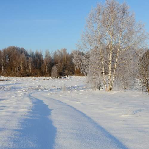 Photo #8623646
