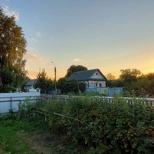 Photo #8623706