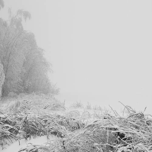 Photo #8623832