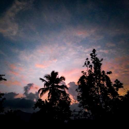 Evening