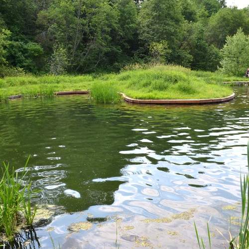 Photo #8624025