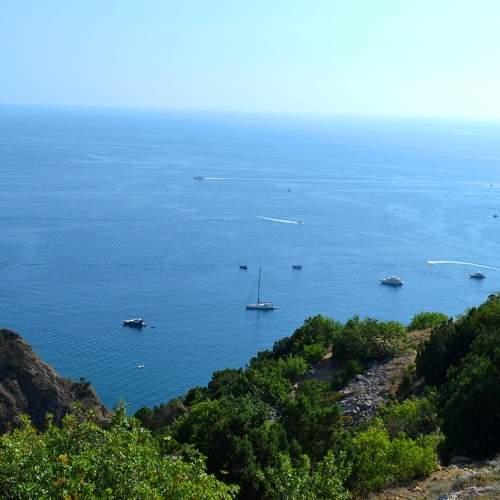 Photo #8624027