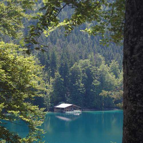 Photo #8624374