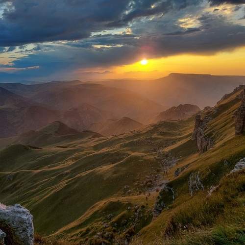 Photo #8624436