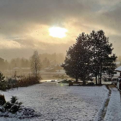 Photo #8624592