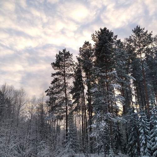 Photo #8624600