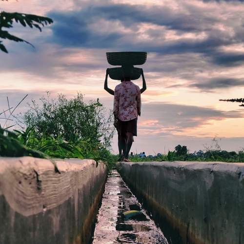Photo #8624791