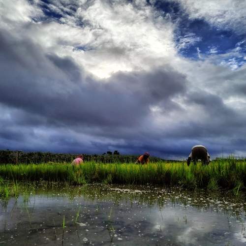 Photo #8624828