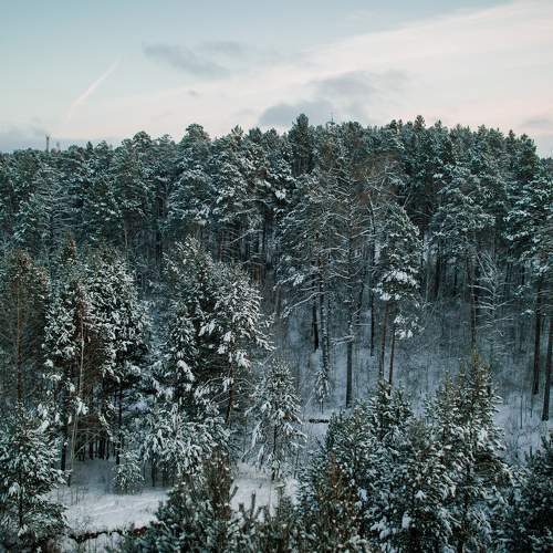 Photo #8625224