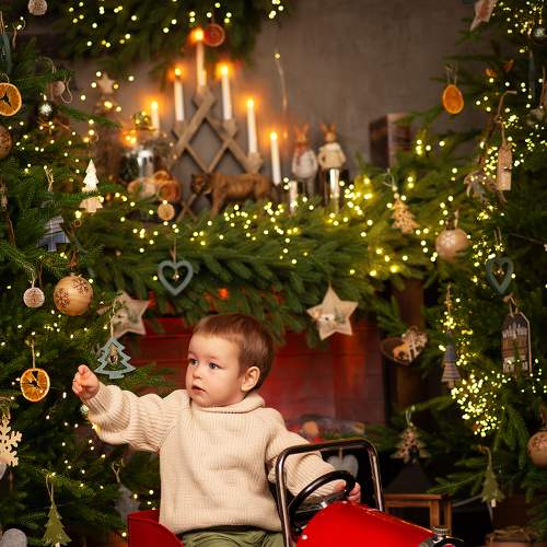 Photo #8625704