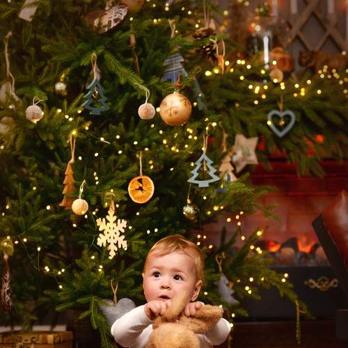 Photo #8625706